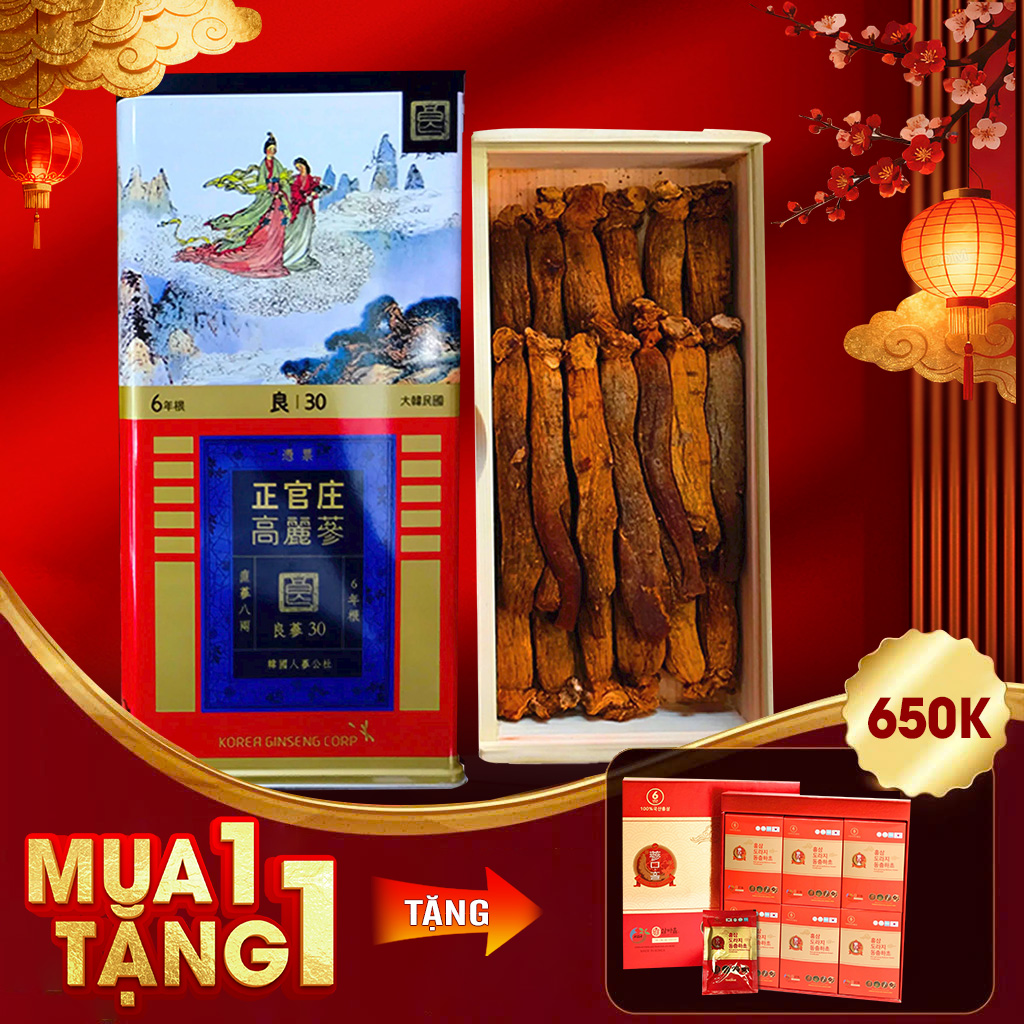 Hồng Sâm Củ Khô Chính Phủ KGC Hộp Thiếc 300g Số 30 (19 Củ)